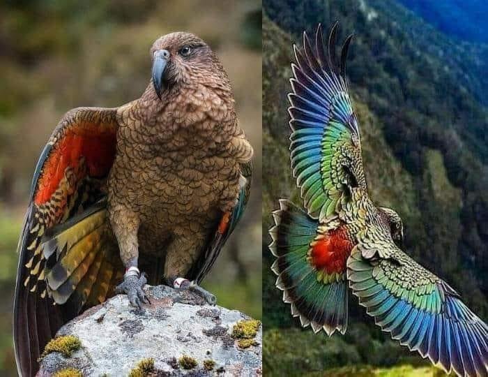 michael berrett's album, Timeline Photos