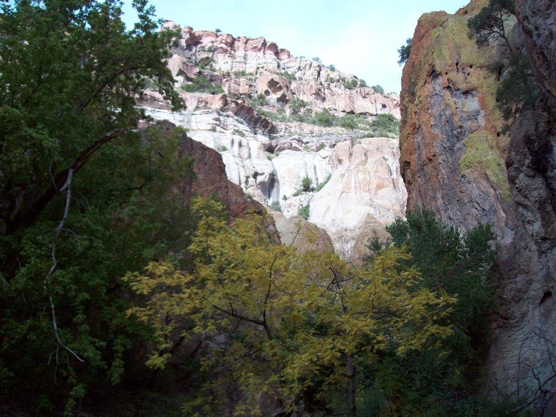 Mineral Creek NM