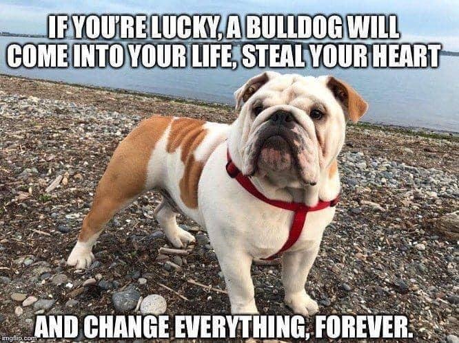 Michael Brown's album, Timeline photos