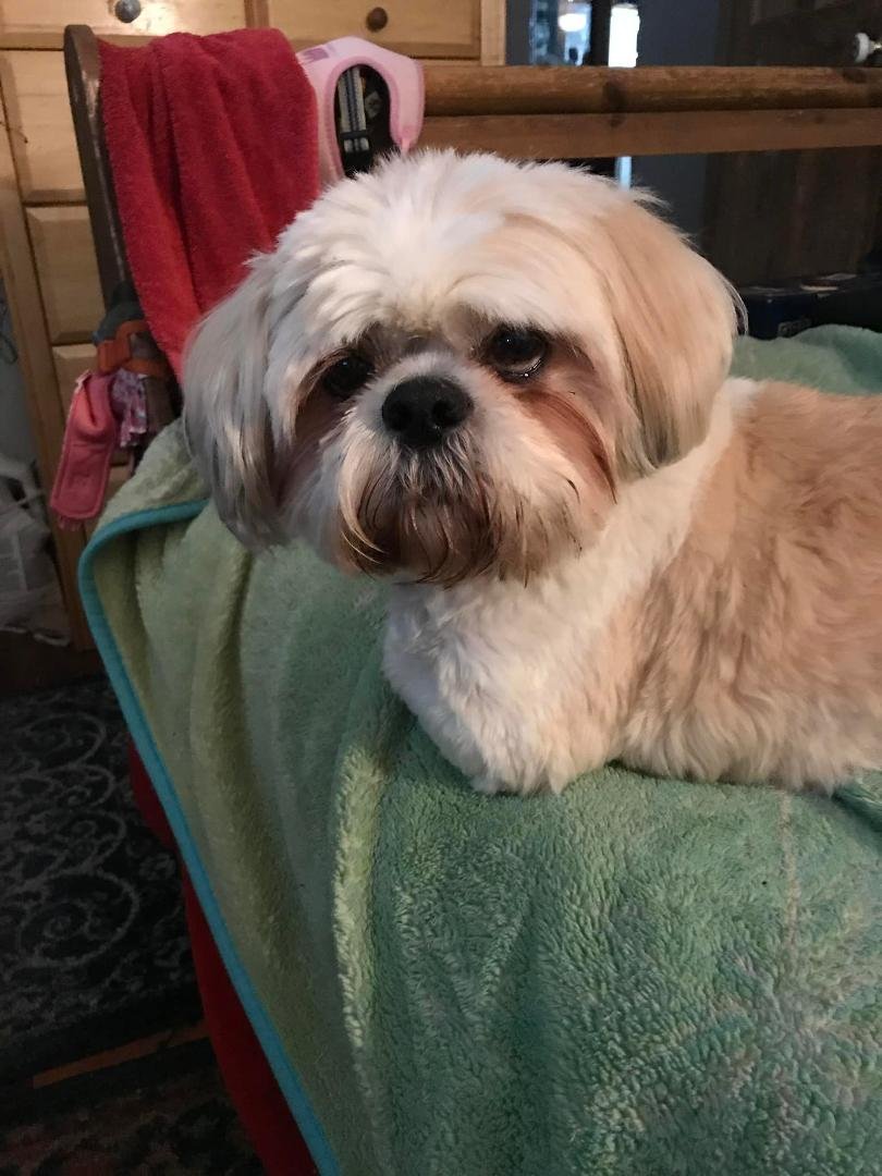Ralph Lowe's album, Mobile uploads