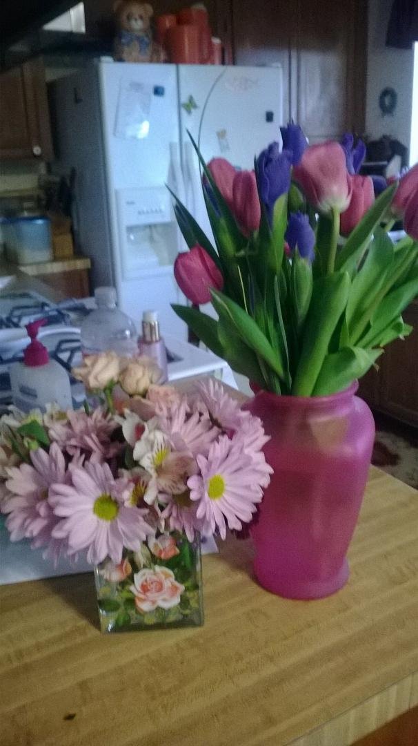 Terry Ellis' album, Timeline Photos