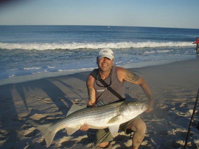 48" 40lb plus on plugs off the beach LET GO UN- HARMED!