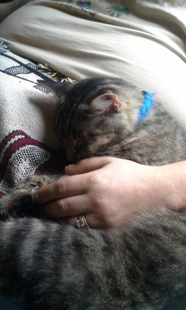 TT aka stewie sleeping