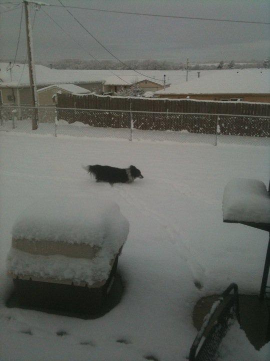 Scooter in the snow.
