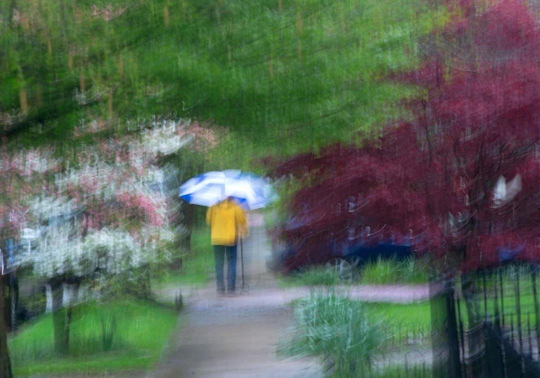 Gratitude Journal: Day 38
Rainy Day Pictures

It has been raining steadily for the past two days, which reminds me again of the famous photography quote by National Geographic photographer Sam Abell.  Quoting his father, Sa
