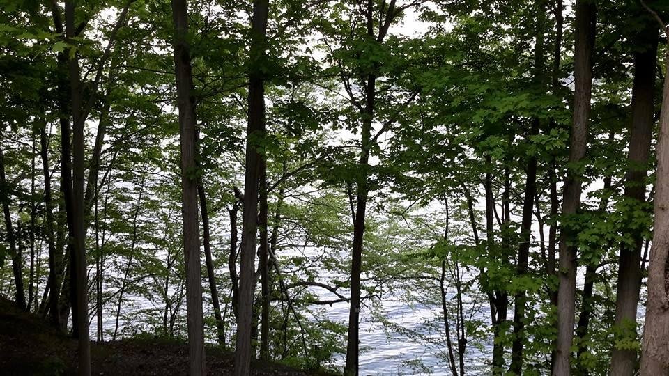 From the retreat cabin deck at Casawasco. Beautiful day!