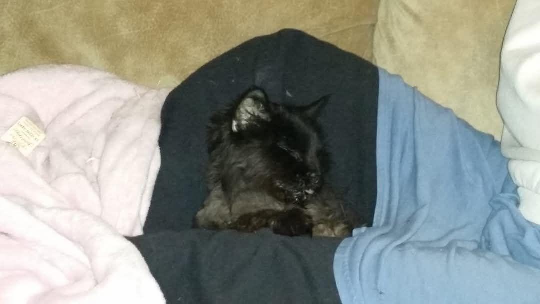 She was my beautiful little Jazzybabes