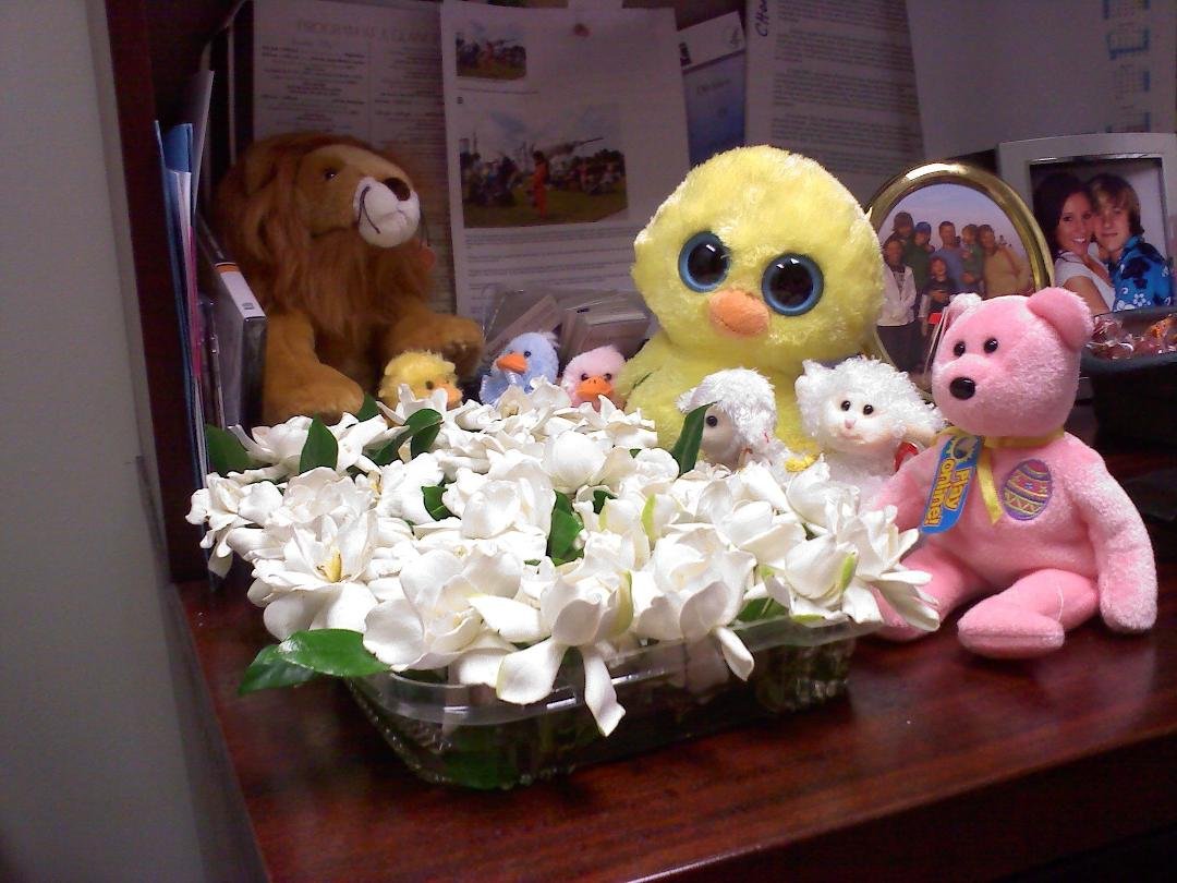 Wonderful way to start the week - thanks Bunny! All my animals are enjoying :)