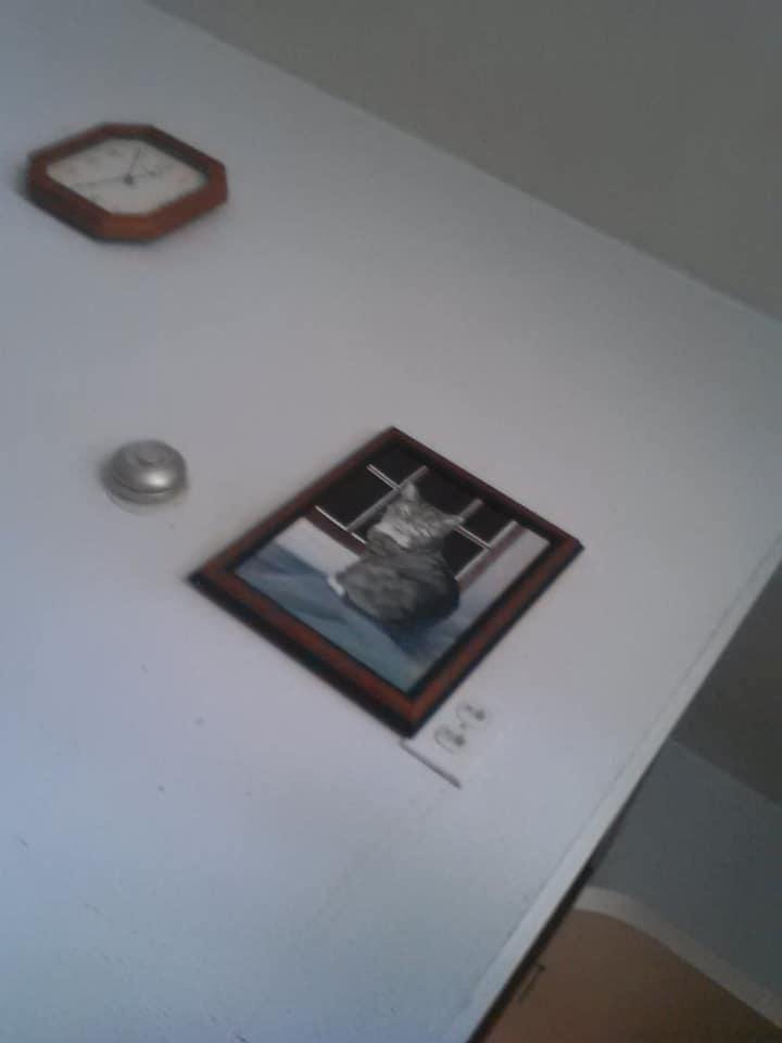 Dave Wolfgang's album, Mobile Uploads