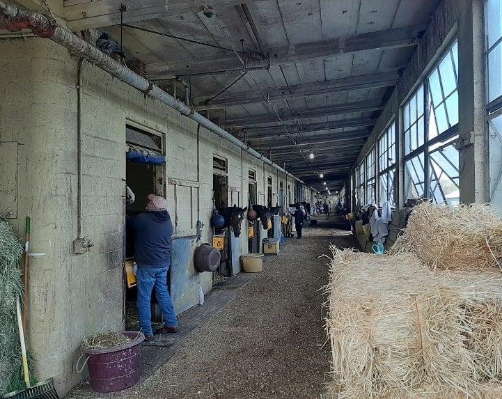 Home of my thoroughbreds... that's the trainer, Pat Quick, standing next to one of the horses in his care, saying hello to one of the horses in his care.
