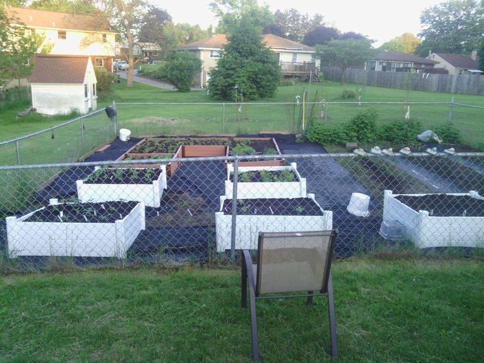 Raised garden beds are in and planted