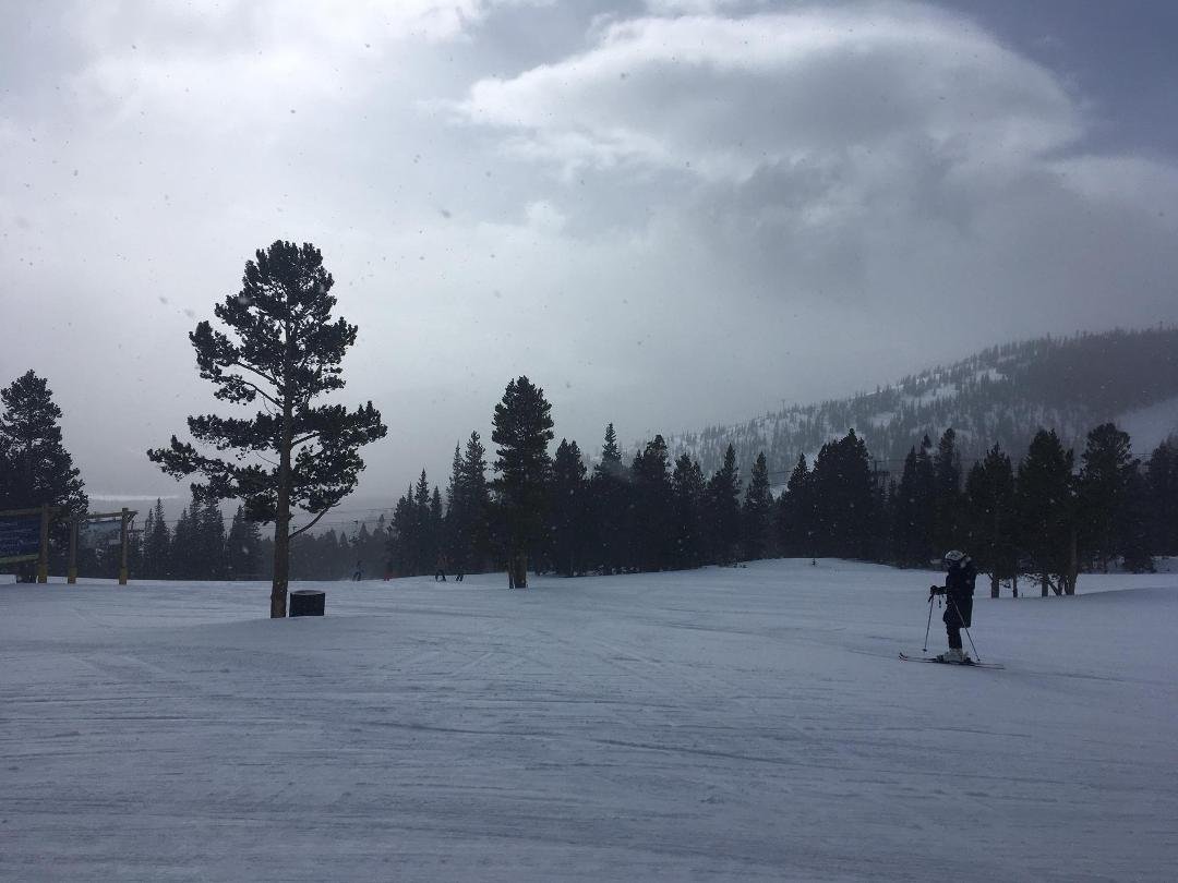 Peter Jones' album, Mobile Uploads