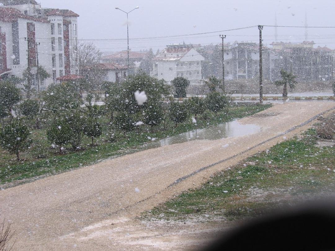 I was thinking  of all the winter pics yal have posted from all over the US this year and also thinking I have not contributed. So here is my contribution--snow in Side...of course the date of the pic is 2-18-2008--its 72 h