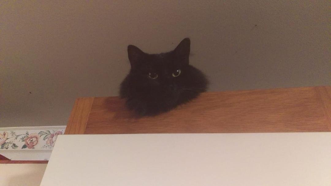 I'm watching you !