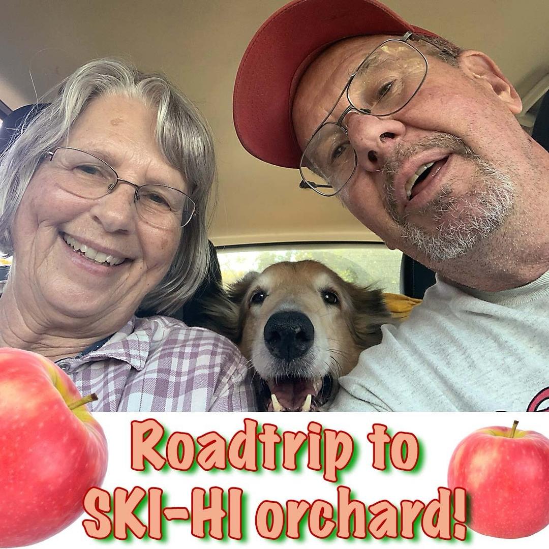 SKI-HI orchard and Devil’s Lake were prime Tippy destinations yesterday: apples and autumn colors served just right! #apples #appleseason #skihi #skihifruitfarm #autumnvibes🍁 #lodi #lodiwi #puppyfun #applesgalore #collieso