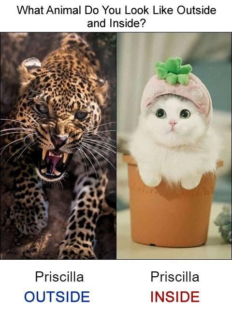 Patsy Underwood McDaniel's album, Timeline Photos