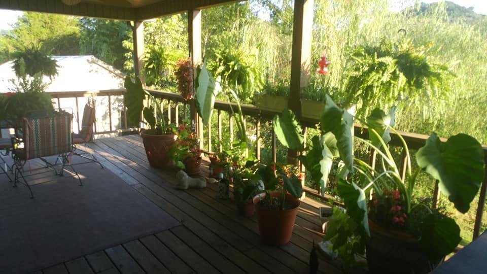 Robert Stewart's album, Timeline Photos