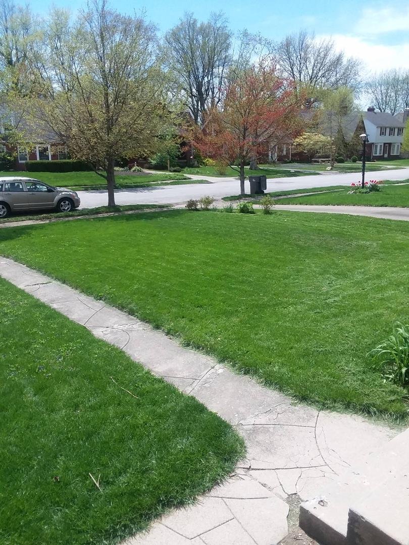 I've been mowing yards for 53 years.  What's the record?