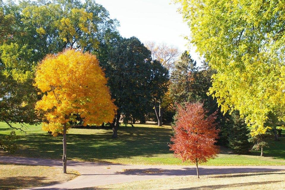 Edwin Pelot's album, Fall 2011