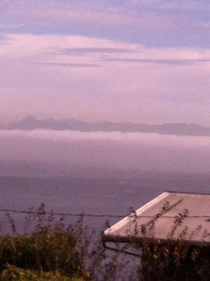 View from Sunrise Dr right now - love fog on the water. Listening to the boats fog horns.