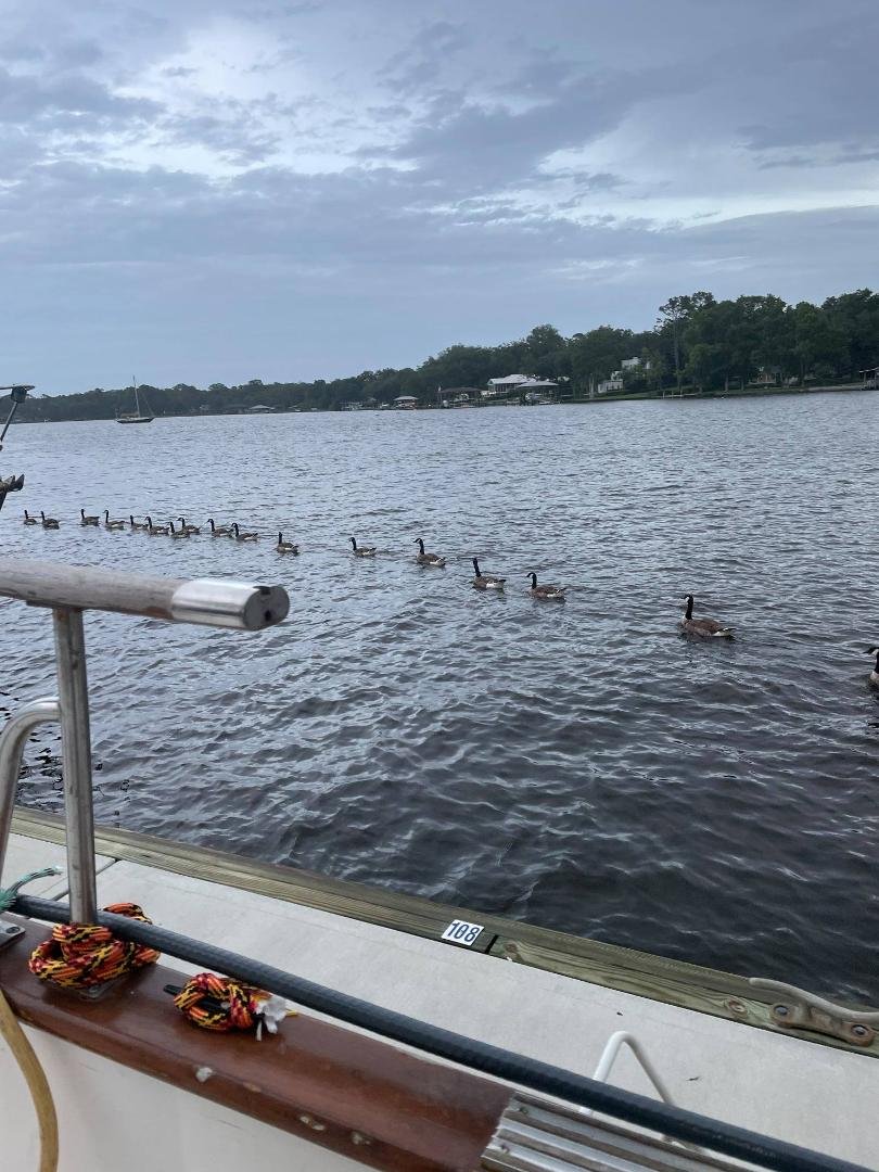 our Canadian friends out for evening swim with the kids