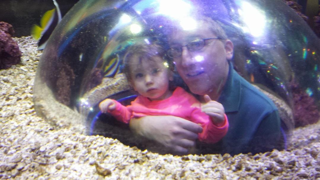 "I'd like to be, under the sea, in an octopus' garden in the shade.."