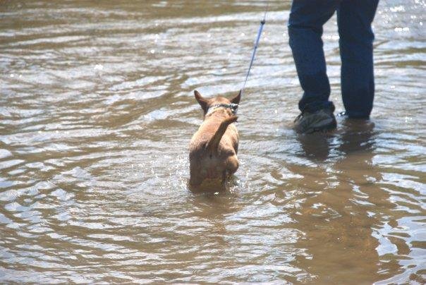 Poppie likes this............ me, not so much!