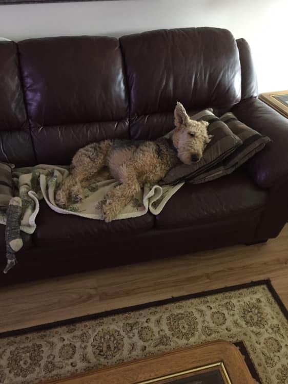 The life of Maggie 😁😁