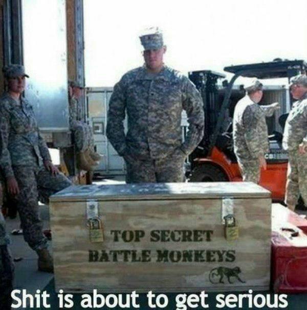 It's bout to go down