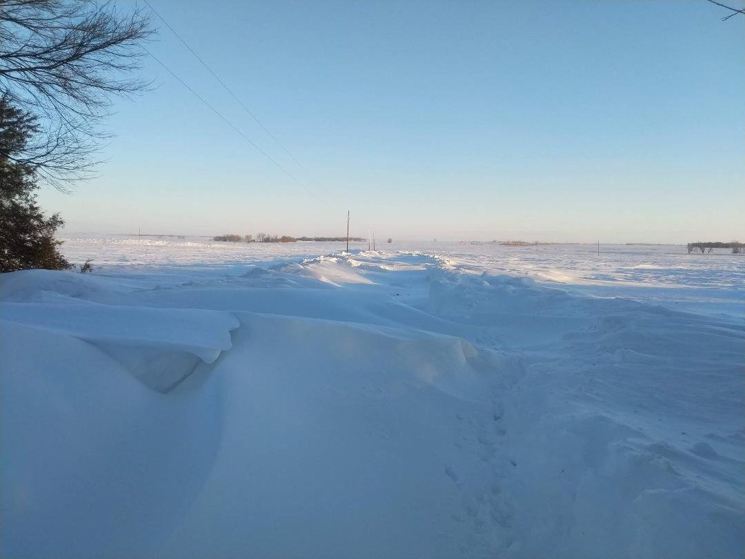 Driveway this morning