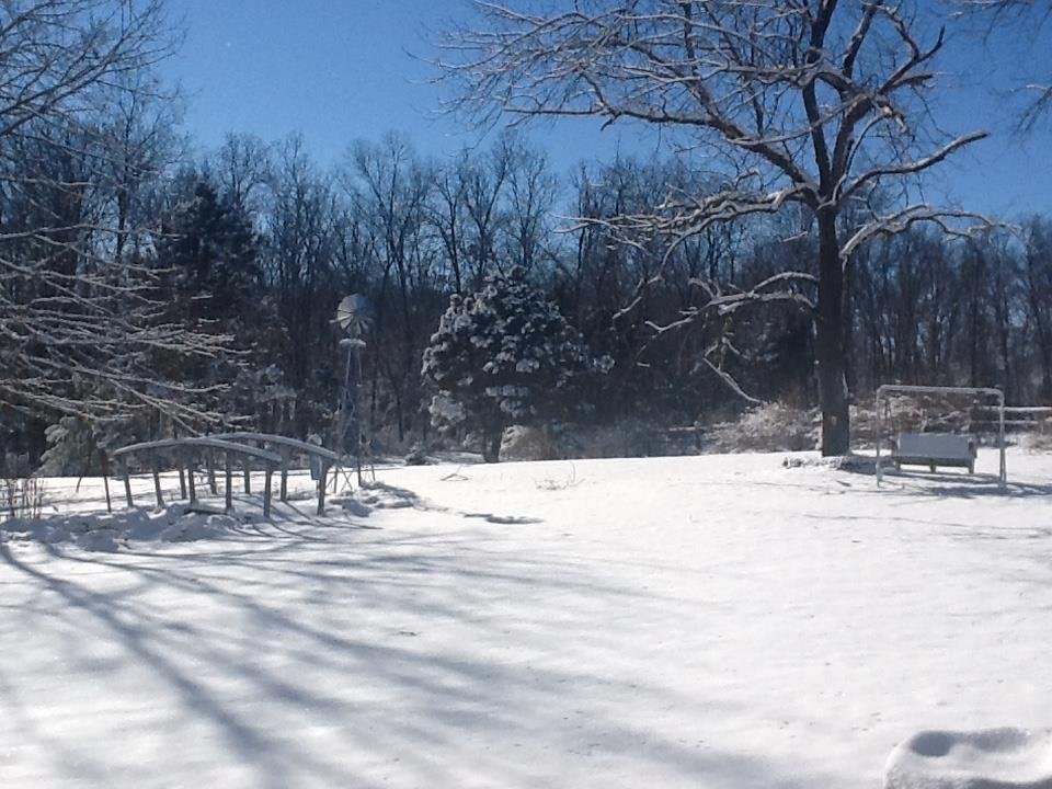 Pat Simmons' album, Timeline Photos