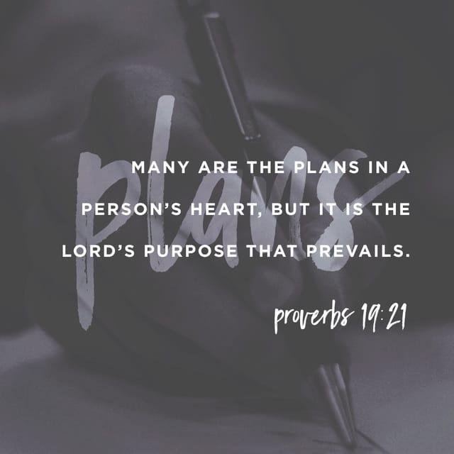 Lee Scott's album, Timeline Photos