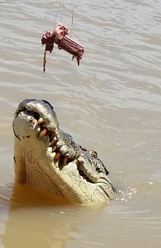 See's his lunch
