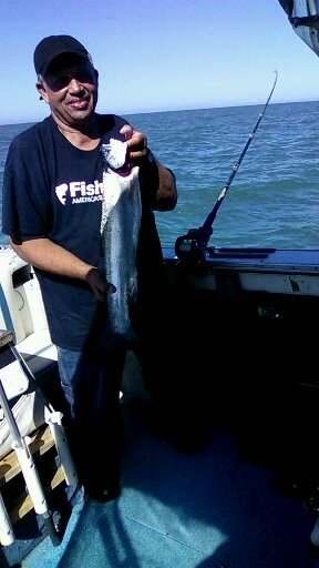 tonys steelhead he got today. plus we got 12 nice walleye.