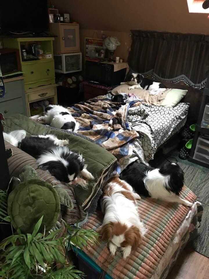 The morning after heavily partying!!!!