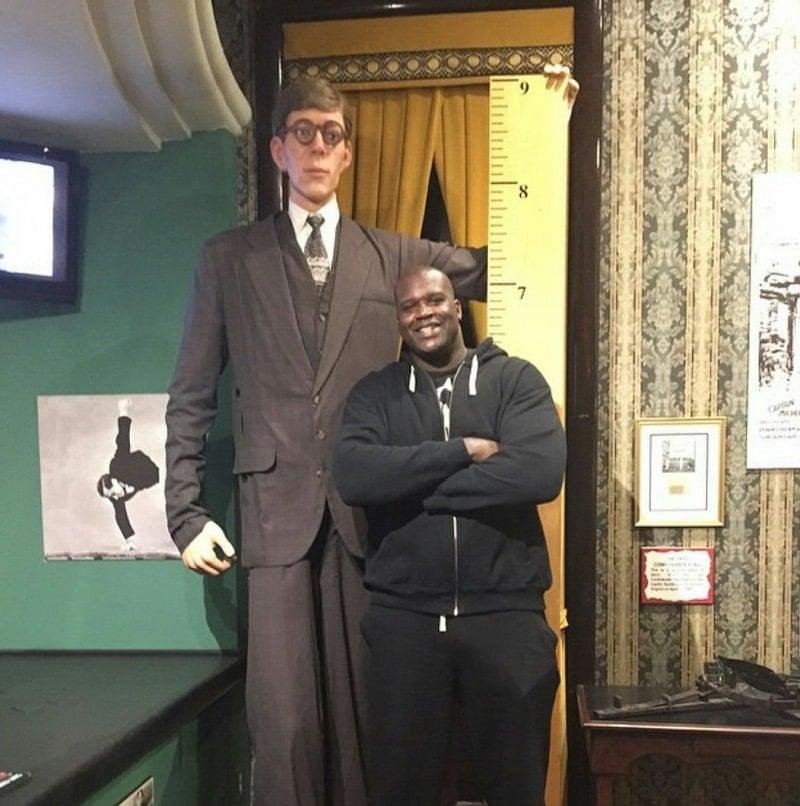 Shaquille O'Neal posing with a life-size figure of Robert Wadlow, the tallest man who ever lived. Shaq is 7'1" and Wadlow was 8'11".