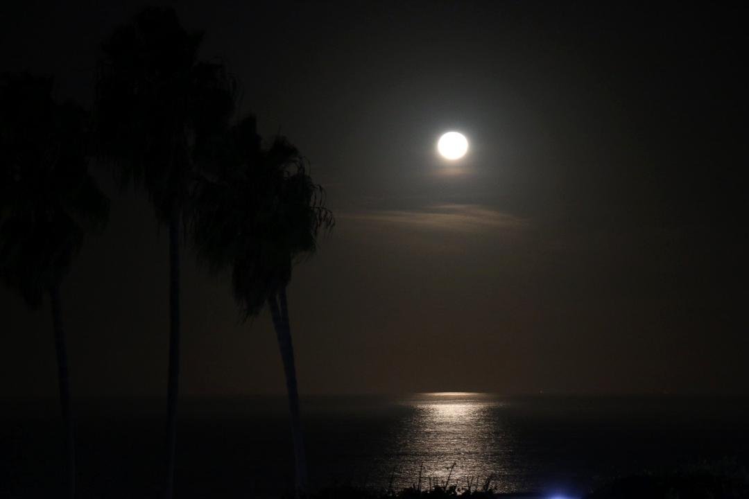 Just entered some of my picks with National Geographic. This one is a full moon set on the meridian here in So. Cal. A man with "time" on his hands.