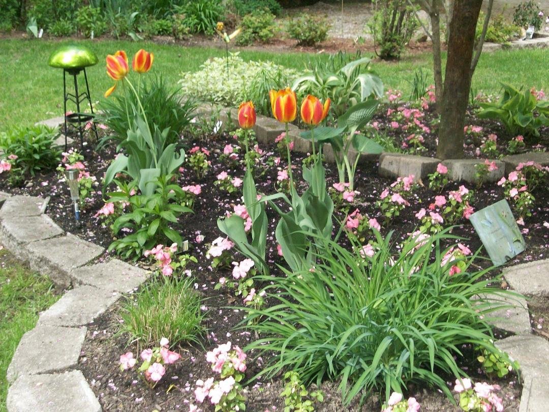 Sharon Smith's album, Timeline Photos