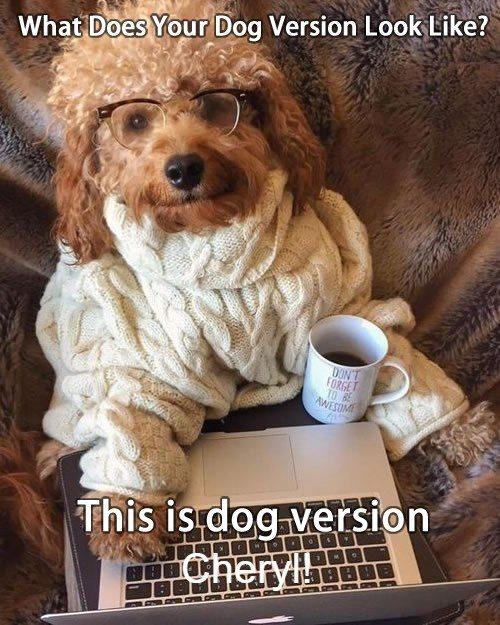 Cheryl Fields' album, Timeline photos