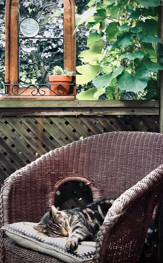 Another great photo. by Liz, peaceful Charlie.