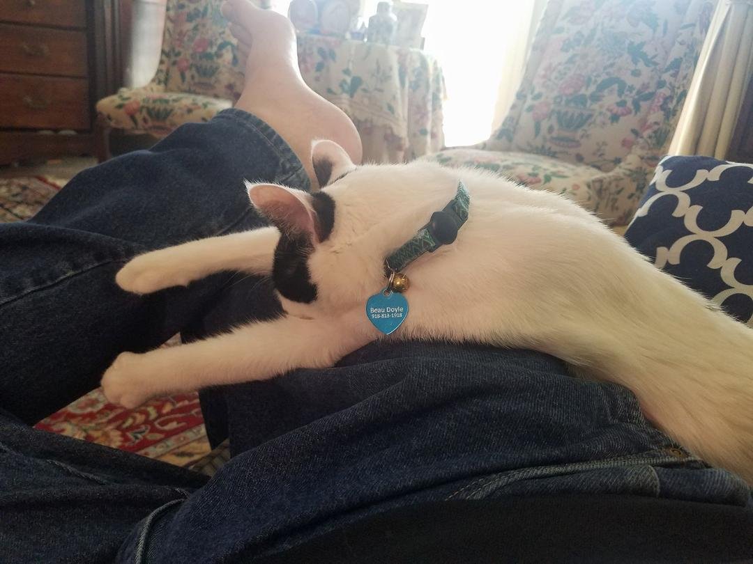 He's all tuckered out.
