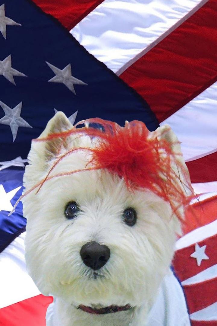 Happy 4th! (This is Molly Marie from way back in 2010.)