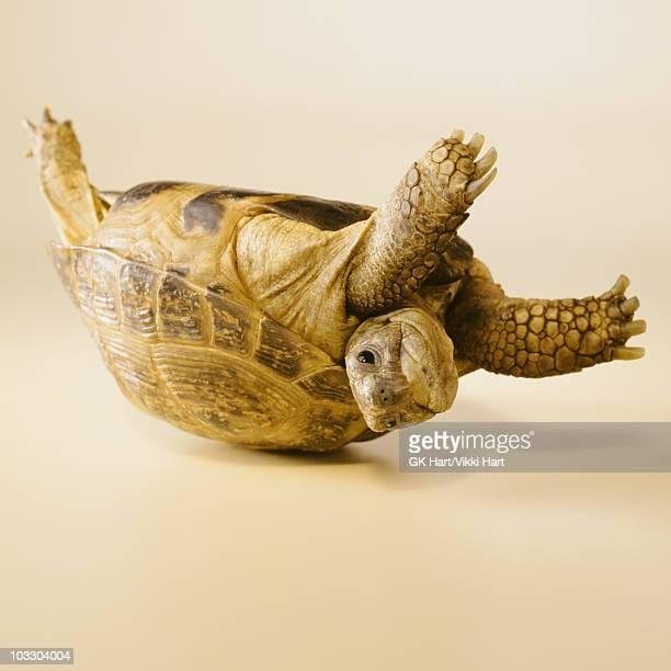 Mitch McConnell hospitalized tonight after a fall.