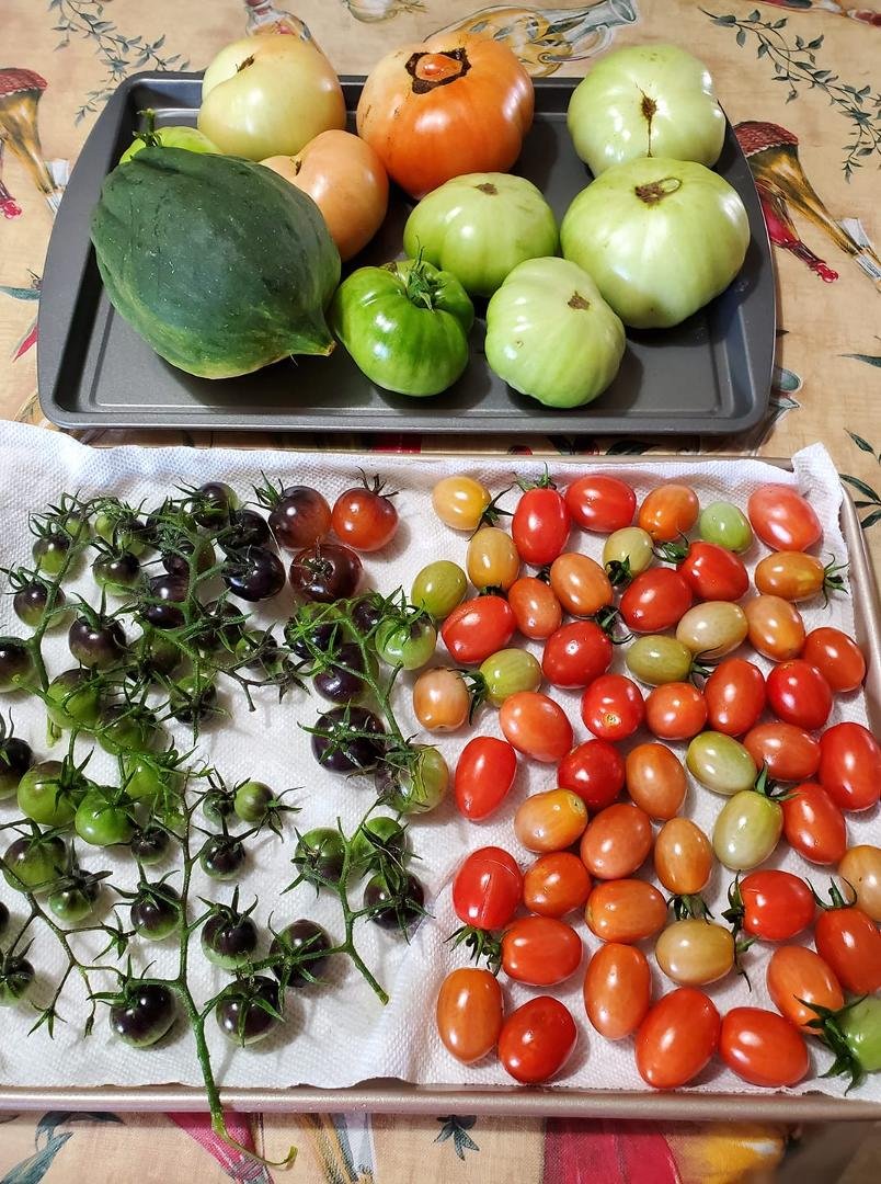 Who would have thought that the garbage I threw out last spring would actually give back to me.