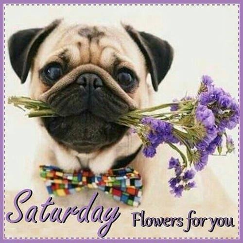 Tracy Leopold's album, Timeline Photos
