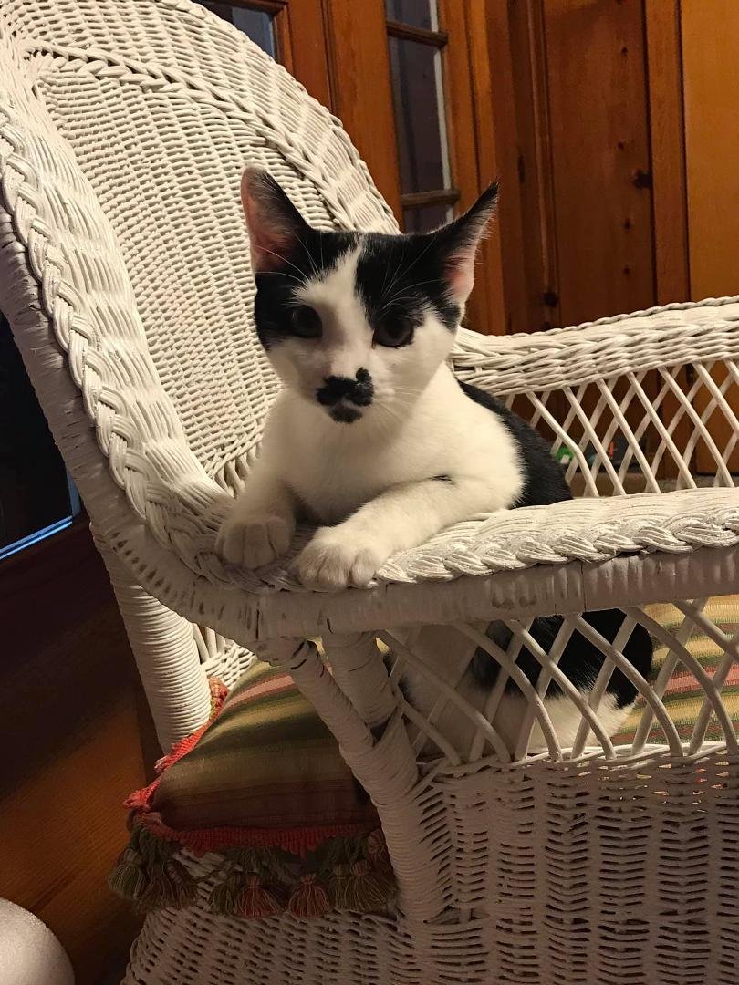Sandy Zortman's album, Mobile Uploads
