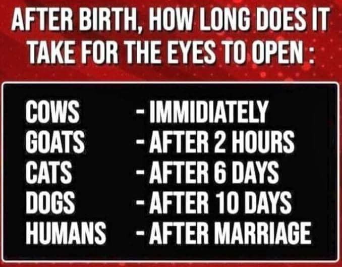 Doug Bell's album, Timeline photos
