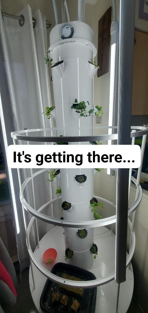 Stevenbell.towergarden.com