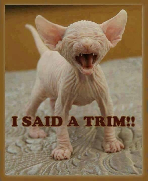Jeff Humphrey - ever have a client that looks like this after a cut?