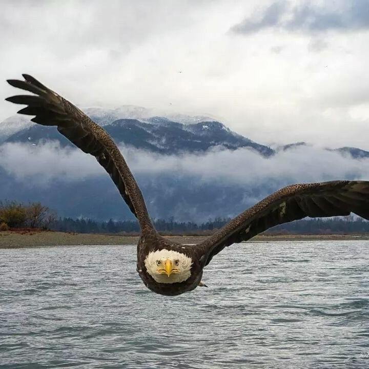 Hey! Wait for me!